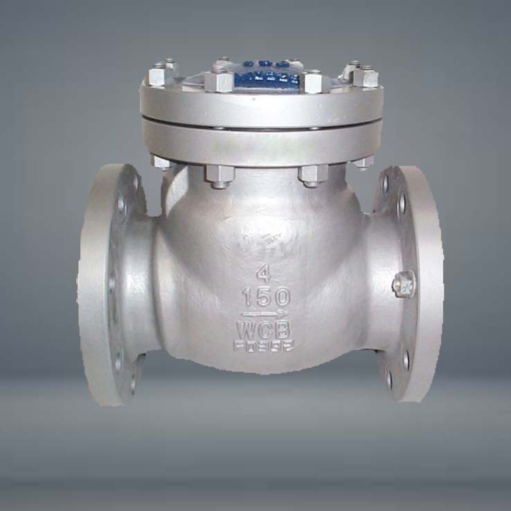 Non Return Valve